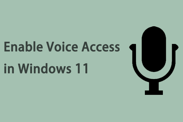 How to Enable Voice Access in Windows 11?
