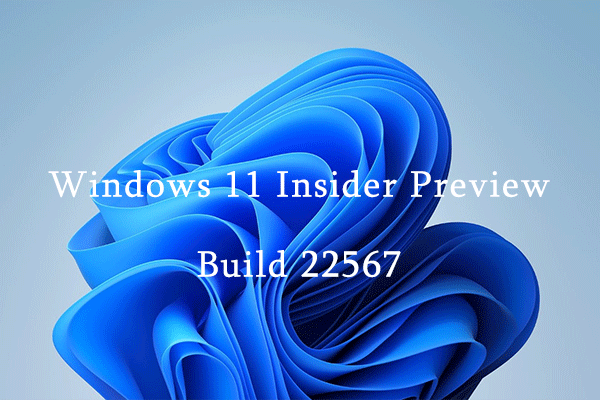 New Features Come with Windows 11 Insider Preview Build 22567