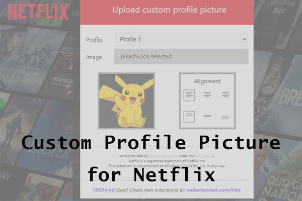 How to Get and Set a Custom Profile Picture for Netflix?