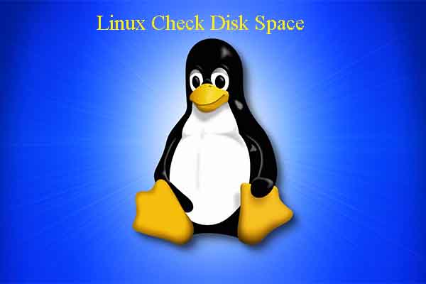 Linux Check Disk Space Commands (DU Commands and DF Commands)