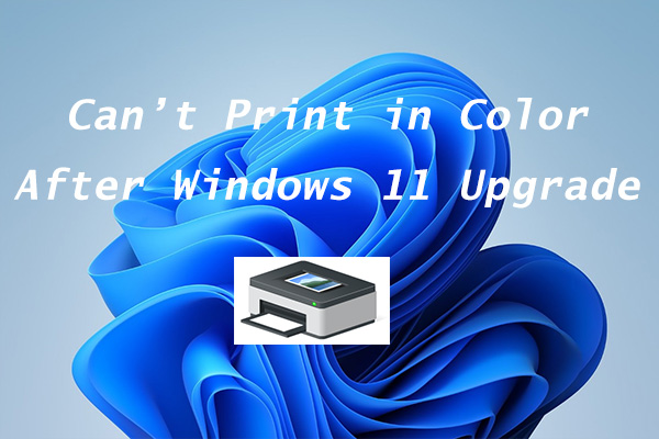 How to Fix: Windows 11 Not Printing in Color After Upgrading