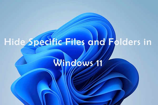 How to Hide Specific Files and Folders in Windows 11 – 4 Methods