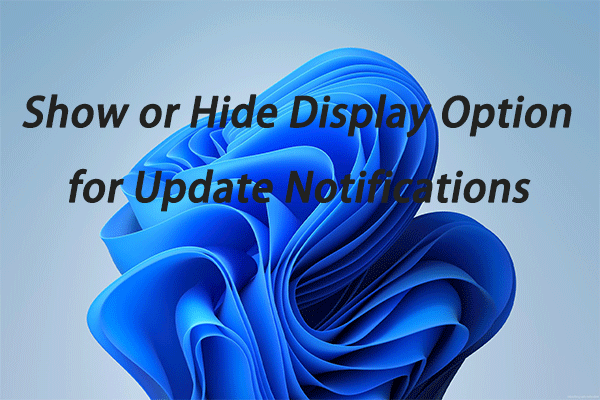 Show or Hide Display Options for Update Notifications Windows 11