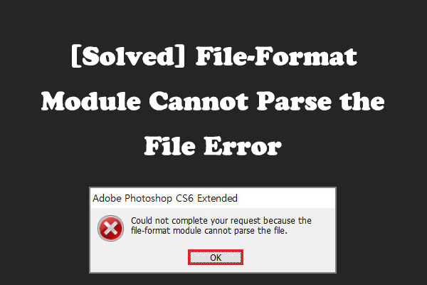 [Solved] File-Format Module Cannot Parse the File Error