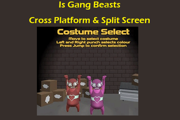 Is Gang Beasts Cross Platform & Split Screen?