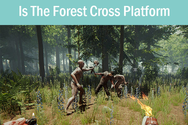 Is The Forest Cross Platform | Is The Forest Split Screen