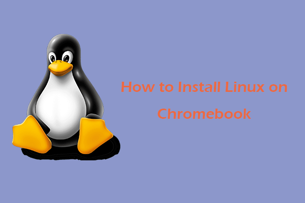 How to Install Linux on Chromebook [2 Simple Ways]