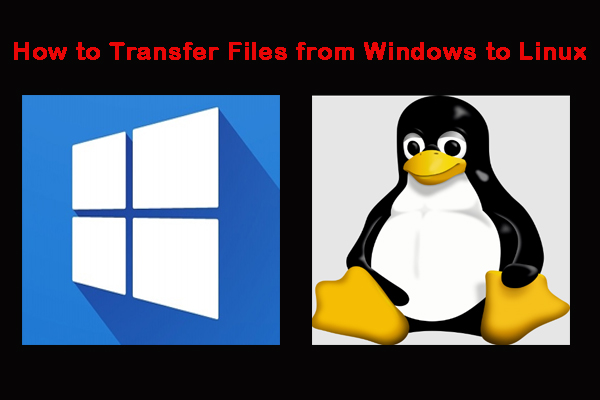 How to Transfer Files from Windows to Linux? | 5 Simple Ways