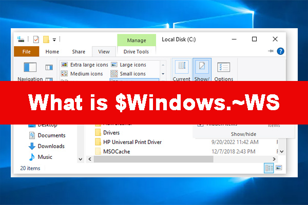$Windows.~WS: What Is It and Is It Safe to Delete? [Answered]