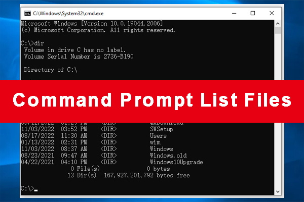 CMD List Files: How to List Files in Command Prompt Windows 10/11