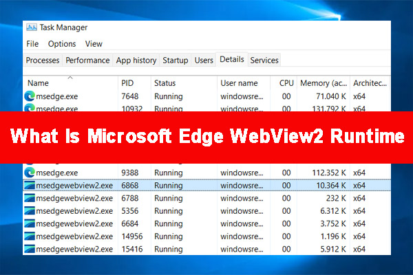 What Is Microsoft Edge WebView2 Runtime & How to Fix Its Issue