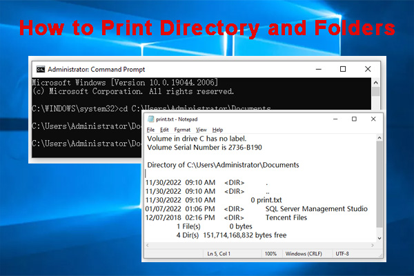How to Print Directory and Folders in Windows 10/11 | 3 Easy Ways
