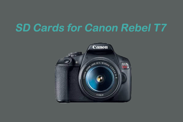 How to Choose the Best SD Cards for Canon Rebel T7? [Answered]
