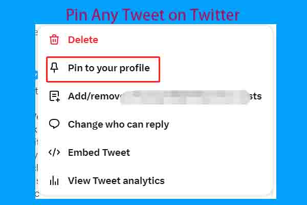 How to Pin Any Tweet & How to Pin Someone Else’s Tweet [Solved]