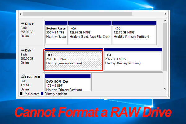 Cannot Format RAW Drives in Windows 10/11? Try These Fixes