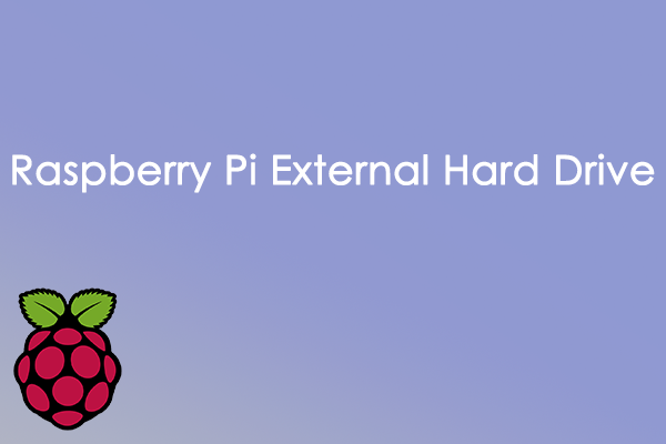 [Answered] What’s the Best External Hard Drive for Raspberry Pi?