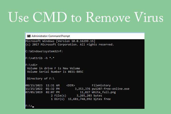 How to Remove Virus Using Commands