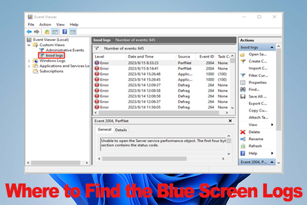 3 Simple Ways to View Blue Screen Logs on Windows 11/10