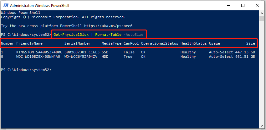 display the SSD details