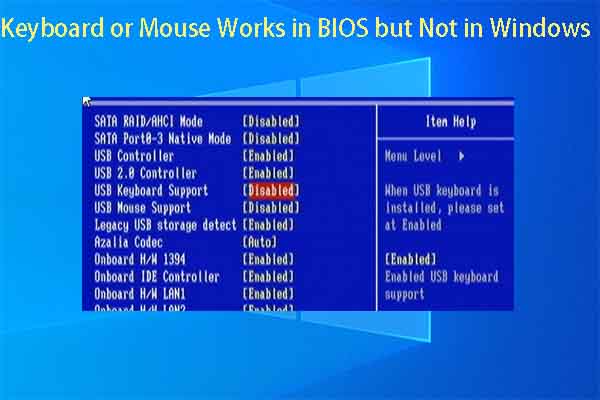 Keyboard or Mouse Works in BIOS but Not in Windows [5+ Fixes]