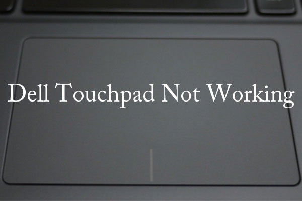 What to Do If the Dell Touchpad Doesn’t Work?