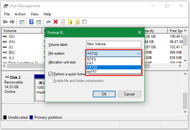 no Ext4 option on Disk Management