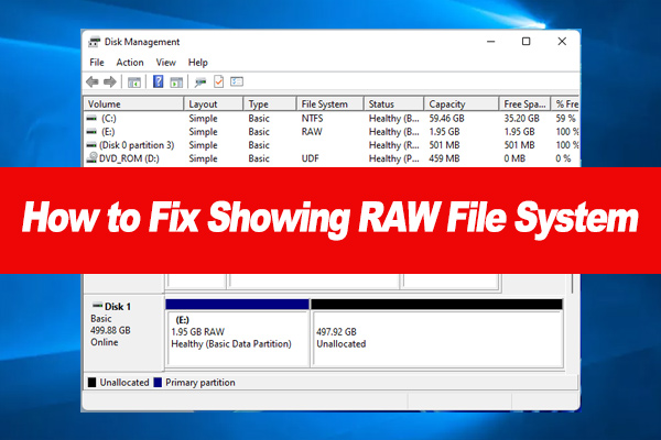 How to Fix SSD Showing RAW File System on Windows 10/11? [Full Guide]