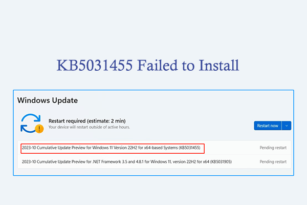 How to Fix the Windows 11 KB5031455 Failed to Install Issue?