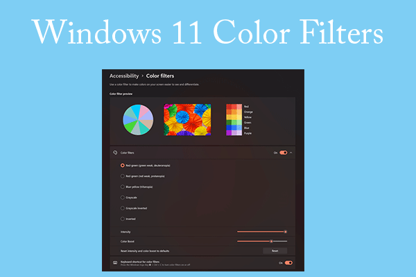 How to Use Enhanced Windows 11 Color Filters