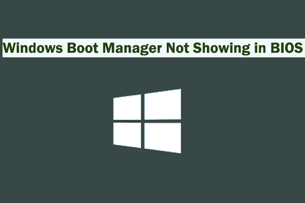 [Solved] Windows Boot Manager Not Showing in BIOS