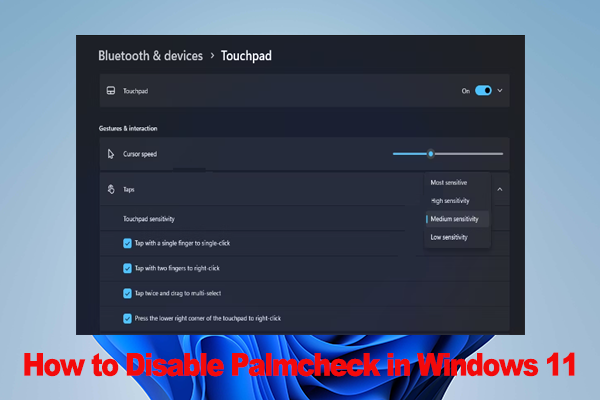 How to Fix It If You Can’t Disable Palmcheck in Windows 11