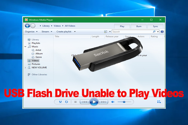 How to Fix Flash Drive Unable to Play Videos? [6 Ways]