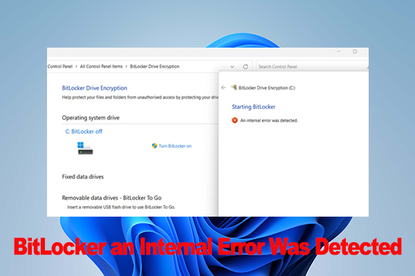 3 Simple Ways to Fix BitLocker an Internal Error Was Detected