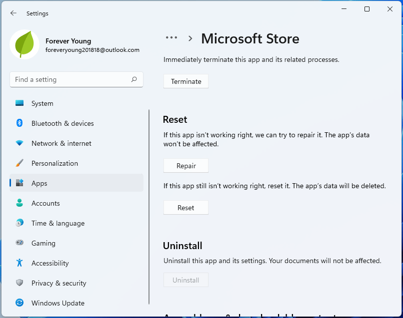 reset Microsoft Store