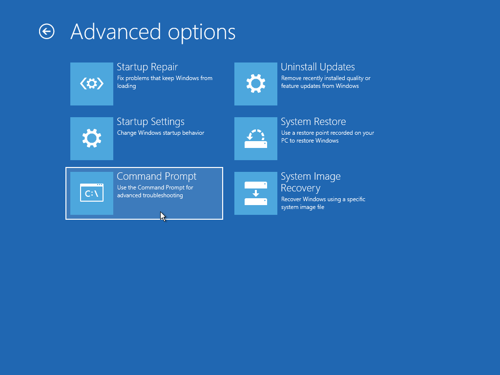 select Command Prompt