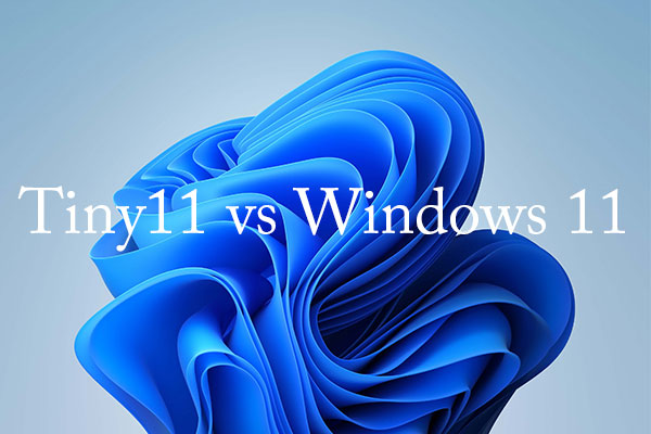 What’s the Difference Between Tiny11 and Windows 11?