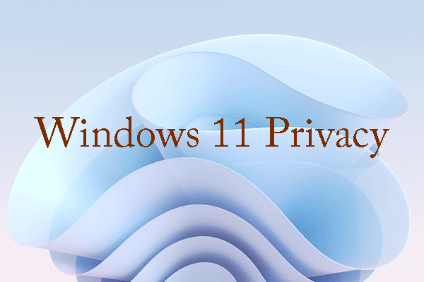 How to Make Windows 11 as Private as Possible?