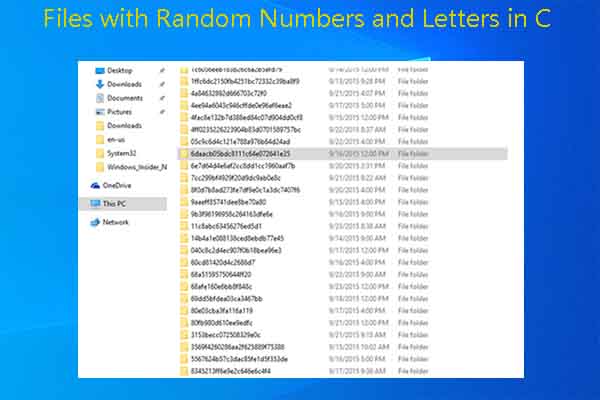 Files with Random Numbers and Letters in C Drive (4 Methods)
