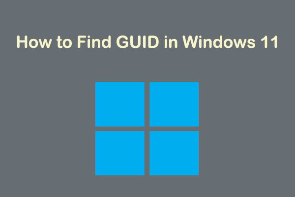 How to Find GUID in Windows 11? Follow This Guide