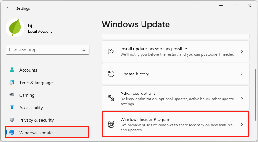 select Windows Insider Program