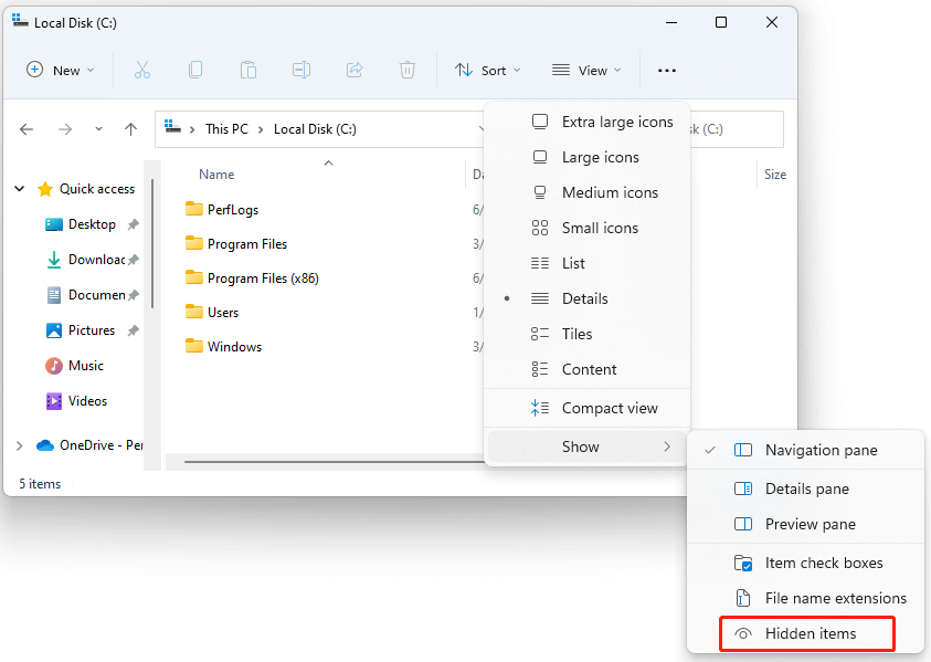 select Hidden items Windows 11