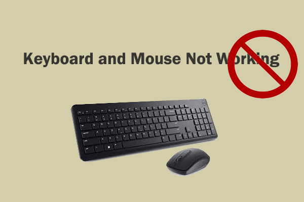 What to Do If My Keyboard and Mouse Not Working After Reset?