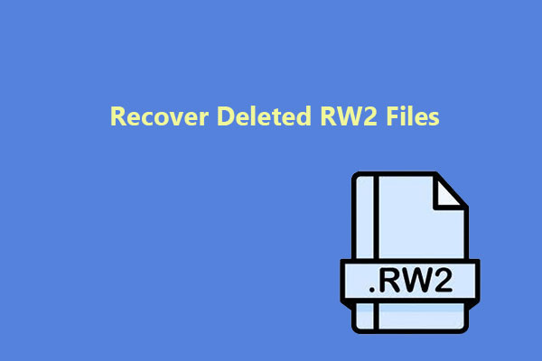 RW2 File Recovery: How to Recover Deleted RW2 Files?