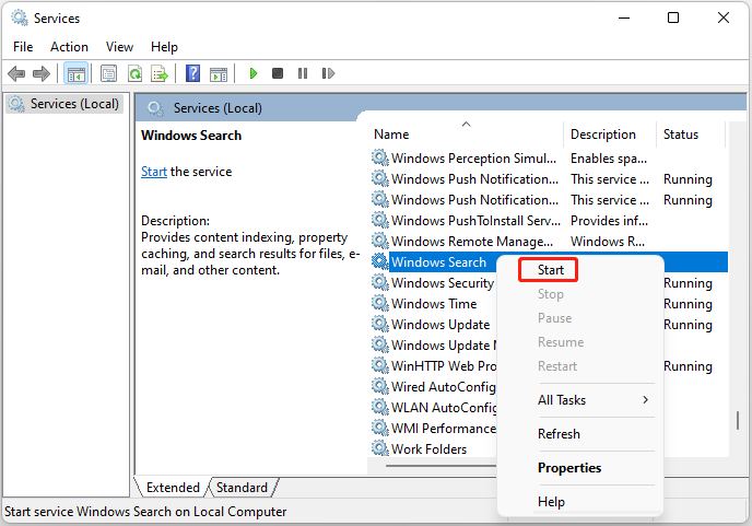 enable Windows Search service