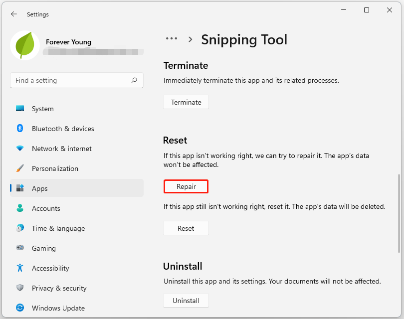 repair Snipping Tool