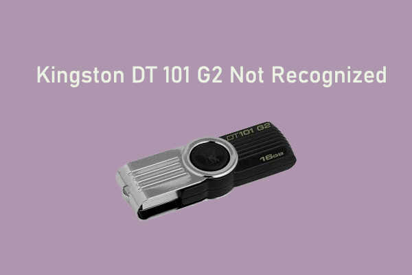 [Full Guide] How to Solve Kingston DT 101 G2 Not Recognized