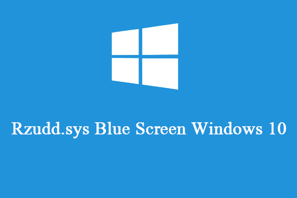 Rzudd.sys Blue Screen Windows 10: Try These Methods