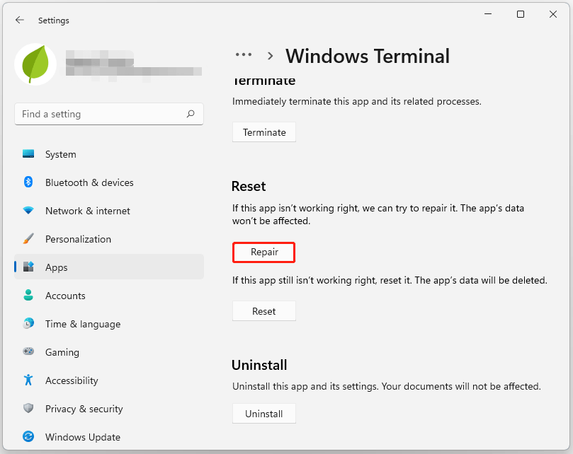 repair Windows Terminal