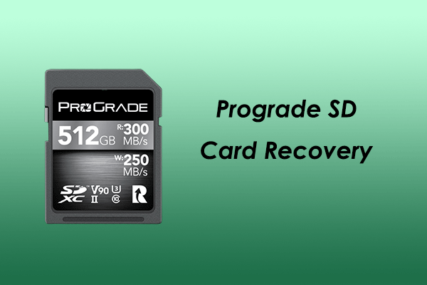 ProGrade SD Card Recovery: Here’s A Step-by-Step Guide!