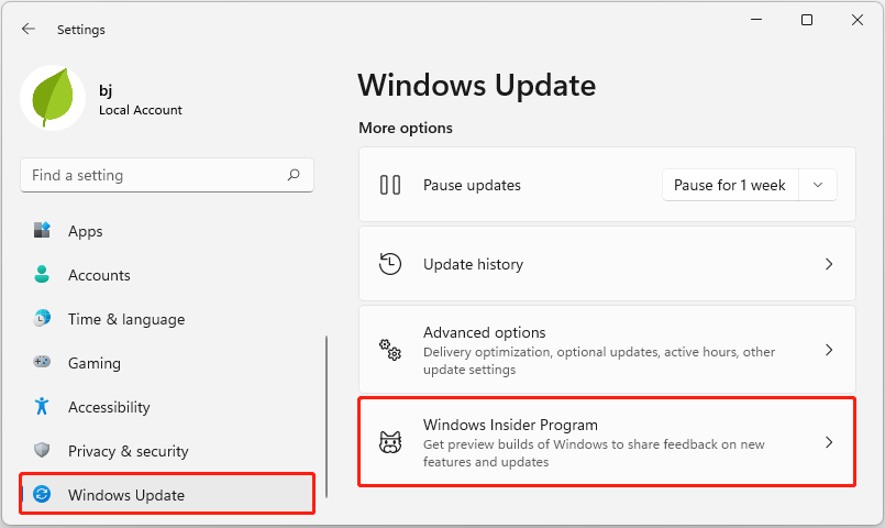click Windows Insider Program